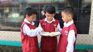 photo_6255909334991092507_y